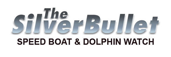 SilverBullet_Logo